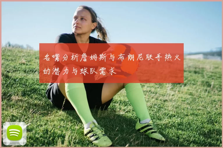 名嘴分析詹姆斯与布朗尼联手热火的潜力与球队需求